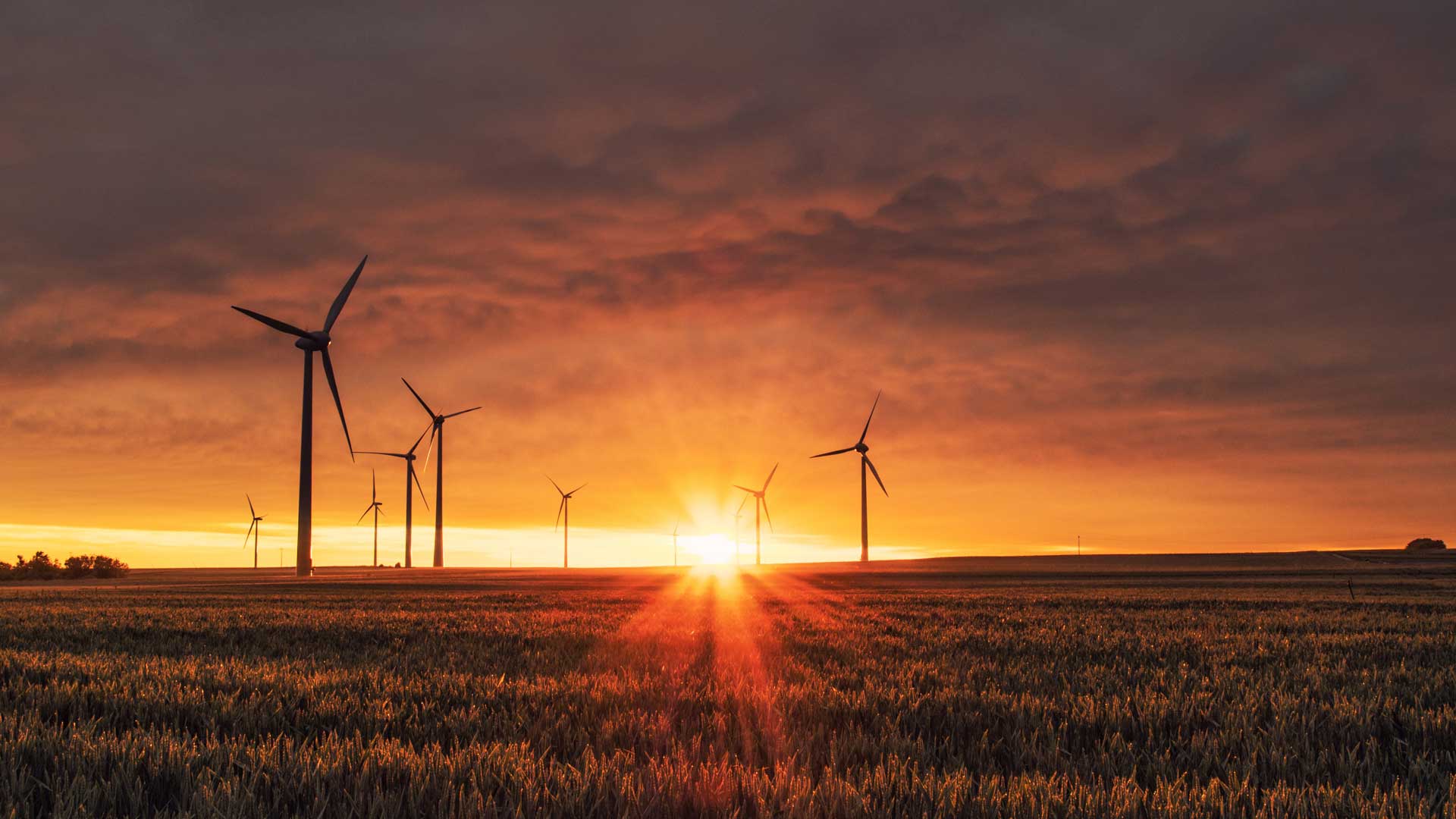 wind turbines