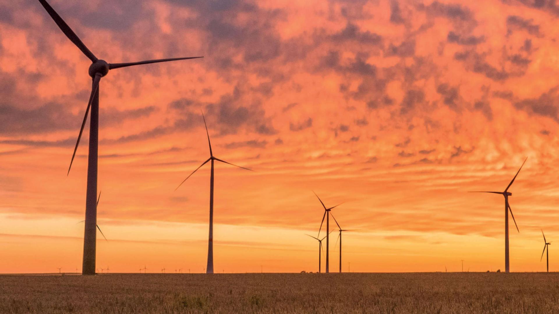 embedded generation EGIP